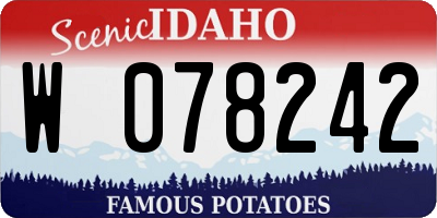 ID license plate W078242