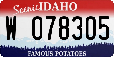 ID license plate W078305