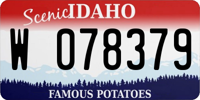 ID license plate W078379