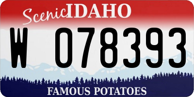 ID license plate W078393
