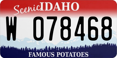 ID license plate W078468