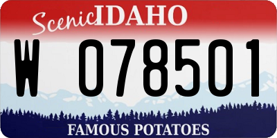 ID license plate W078501