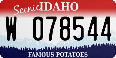 ID license plate W078544