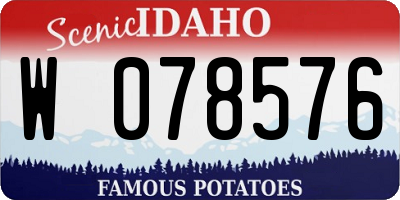 ID license plate W078576