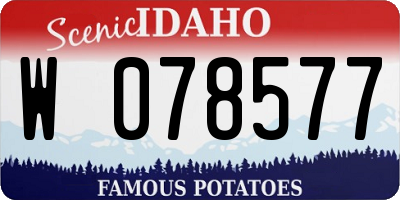 ID license plate W078577