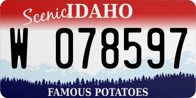 ID license plate W078597