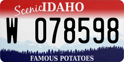 ID license plate W078598