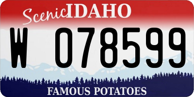 ID license plate W078599