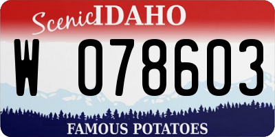 ID license plate W078603