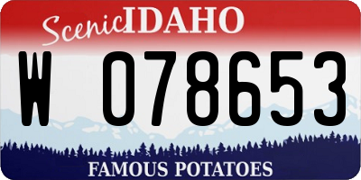 ID license plate W078653