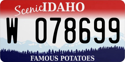ID license plate W078699