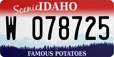 ID license plate W078725