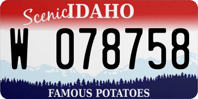 ID license plate W078758