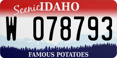 ID license plate W078793