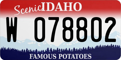ID license plate W078802