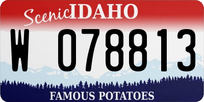 ID license plate W078813