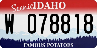 ID license plate W078818