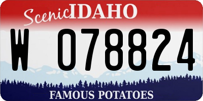 ID license plate W078824