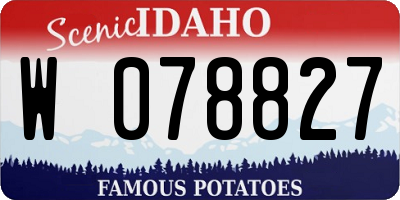 ID license plate W078827