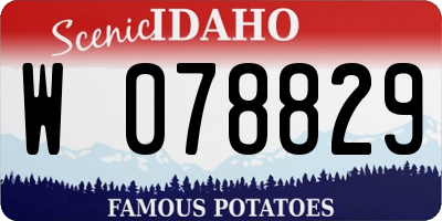 ID license plate W078829