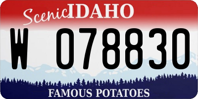 ID license plate W078830
