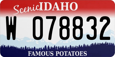 ID license plate W078832