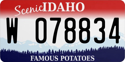 ID license plate W078834