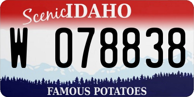 ID license plate W078838
