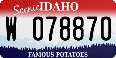 ID license plate W078870