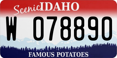 ID license plate W078890