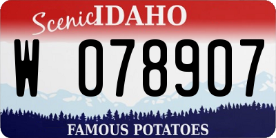 ID license plate W078907