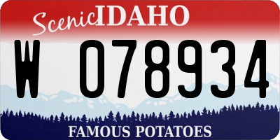 ID license plate W078934