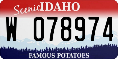 ID license plate W078974