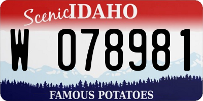 ID license plate W078981