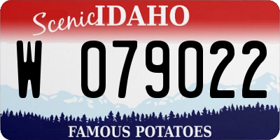 ID license plate W079022