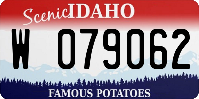 ID license plate W079062
