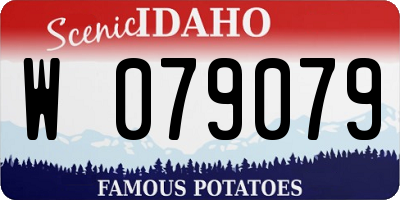 ID license plate W079079