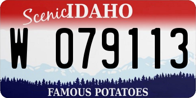 ID license plate W079113