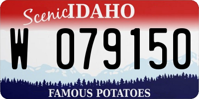 ID license plate W079150
