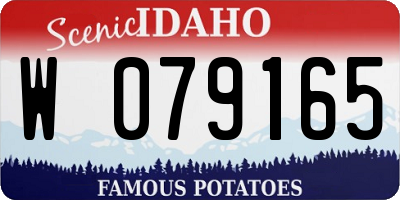 ID license plate W079165