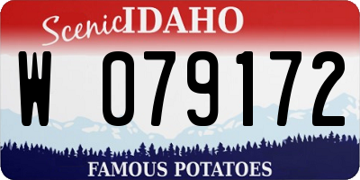 ID license plate W079172