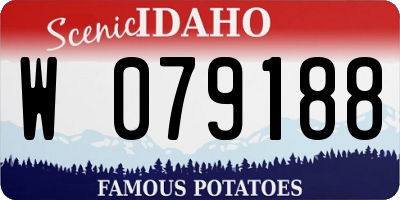 ID license plate W079188