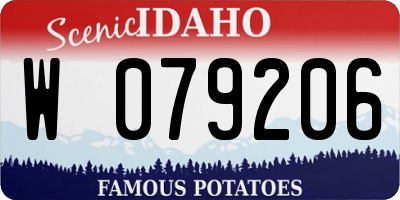 ID license plate W079206