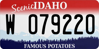 ID license plate W079220