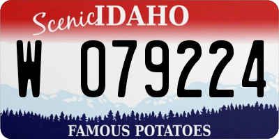 ID license plate W079224