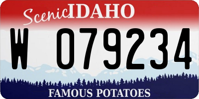 ID license plate W079234