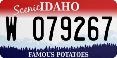 ID license plate W079267