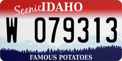 ID license plate W079313