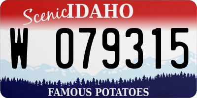 ID license plate W079315