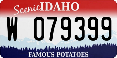 ID license plate W079399